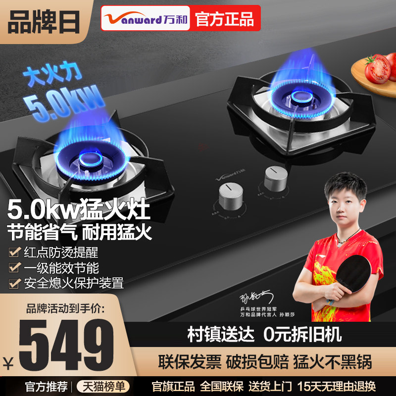 ten thousand and L96 gas furnace gas double mouth gas stove Domestic liquefied gas cooker Embedded B96 official flagship official network