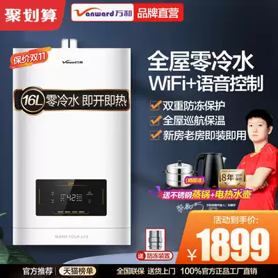Wanhe S2T16 zero cold water gas water heater household intelligent constant temperature gas booster instantaneous heat and antifreeze 16 liters