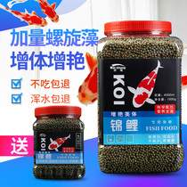 Fish food brocade carp feed goldfish special ornamental fish high spirulina color-enhancing universal fish grain small grain without muddy water