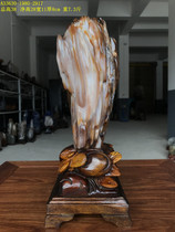 Burmese tree jade belt worms Wood fossil silicified wood raw stone ornaments pure natural living room Bodo decoration 2917