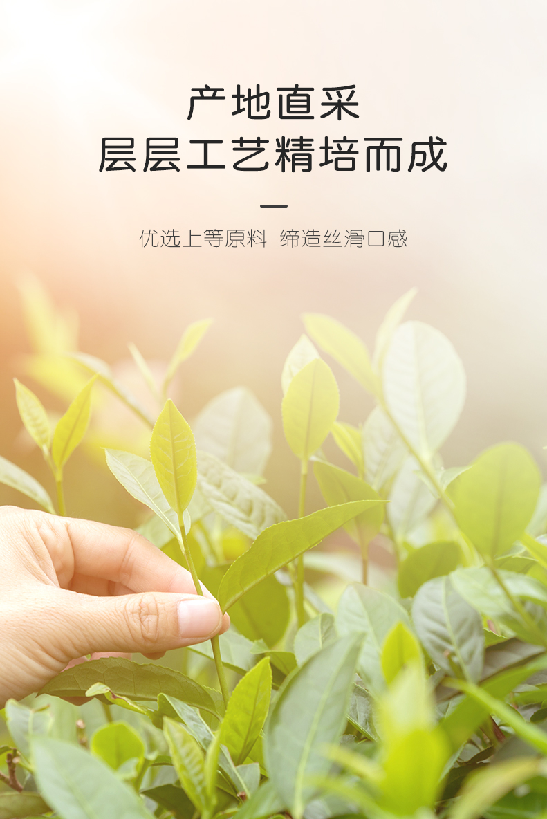 网红款手摇原味阿萨姆奶茶5袋