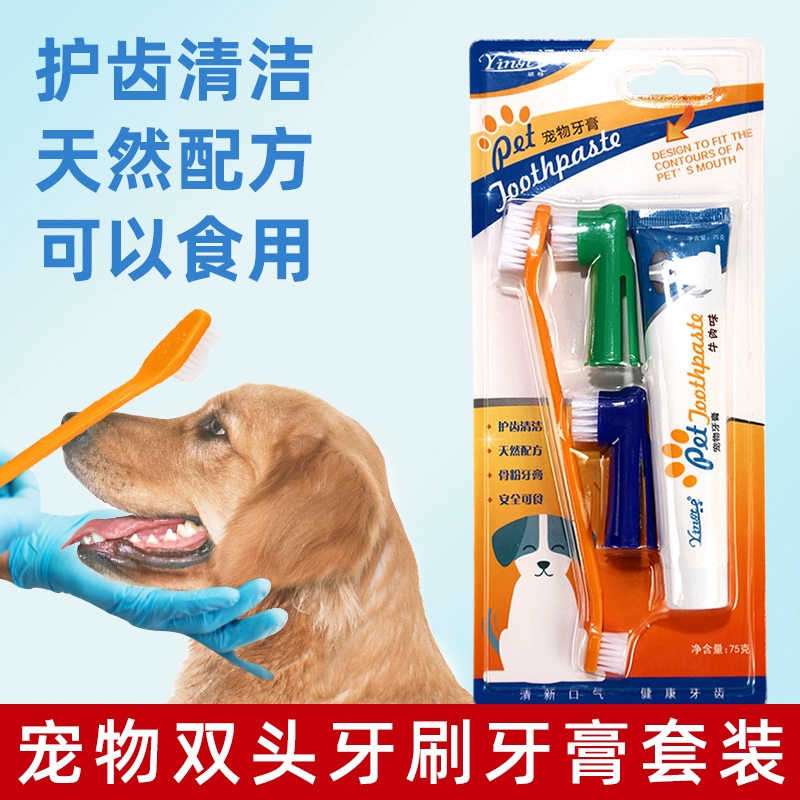 Bộ bàn chải và kem đánh răng cho chó ngoài hôi miệng Teddy Golden Retriever lớn, vừa và nhỏ cho chó mèo bàn chải đánh răng đồ dùng vệ sinh cho thú cưng - Cat / Dog Beauty & Cleaning Supplies