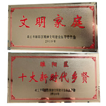 Customized frosted titanium honor medals ten-star civilized household signs custom-made titanium frosted family door plates