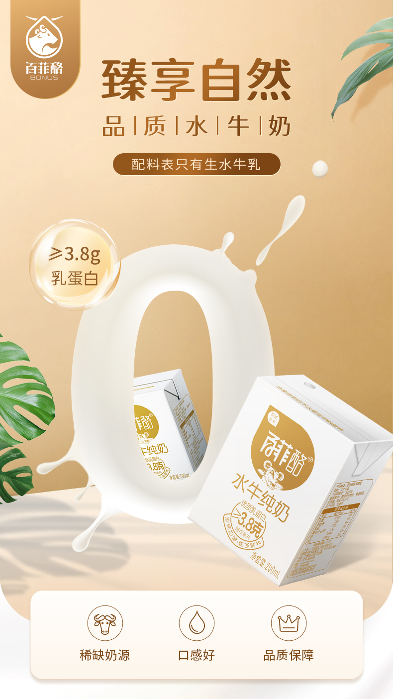 百菲酪 3.8g乳蛋白 水牛纯奶 200ml*20盒 图4