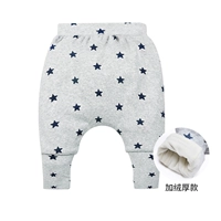 2122 Grey Star [Plel of Velvet]