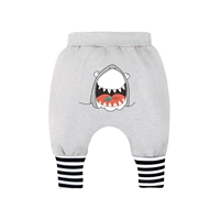 2257 серая акула 【Весна и осенний участок】