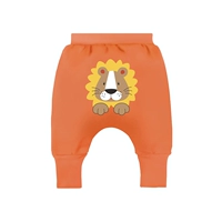 2251 Orange Lion [Весна и осенние домашние животные]