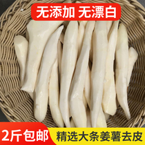 Chaoshan Special Products peeled ginger potato fresh ginger potato peeling vacuum packaging on the same day dig 500g selected large strips