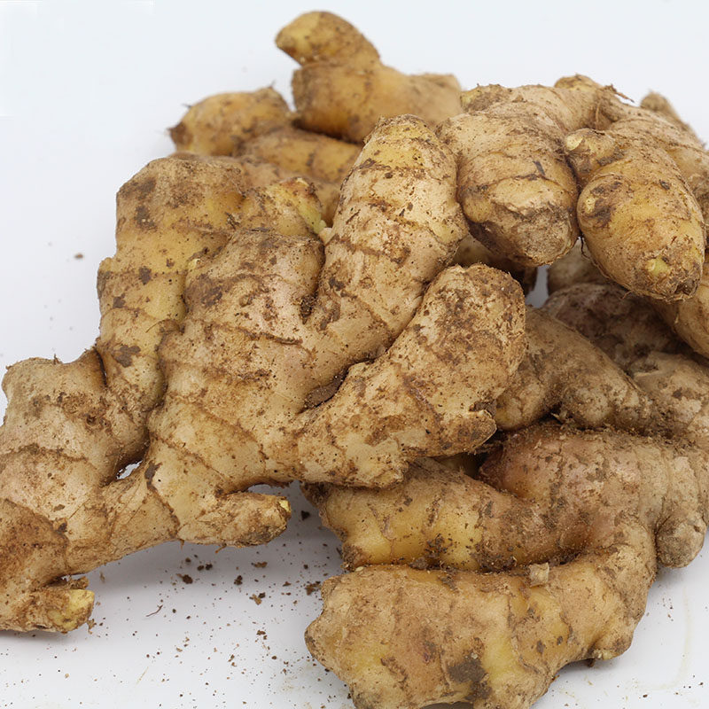 Fresh Ginger Small Ginger Farmhouse Cultivation Now Dug local ginger 500 gr full of 5 catties Old three farmhouse fresh vegetables