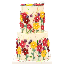 Grapefruit flavored cheese frost (Garden plus) birthday cake coupon Beijing and Shanghai city delivery MS BONCAKE