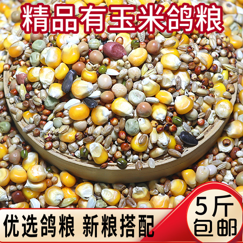 5 kg A - grain grain grain pigeon grain pigeon grain pigeon feed pigeon grain feed pigeon grain