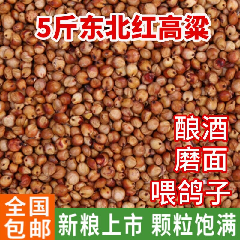 5 catties Northeastern red sorghum rice to shell without peeling red high beam wine-making brewed vinegar pigeon feed groceries