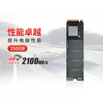 Rexa solid state drive 250g desktop notebook computer disk NVMe hard disk m 2 interface SSD NM610