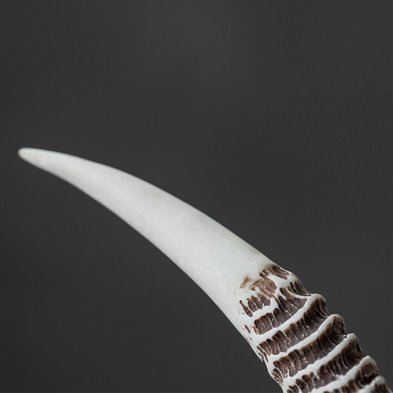 On the an abundant tea YangHuBi cleaning brush brush advanced kung fu tea tea kung fu tea tea accessories