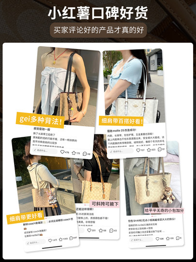 古蚁guyi适用于蔻驰mollie25托特包肩带配件coach茉莉长背带替换