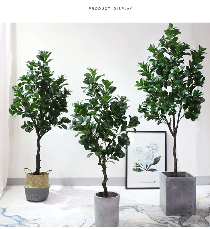 Cây cải xoong cây mô phỏng chậu cải xoong xanh bonsai phòng khách lớn sàn cây xanh trang trí hoa nhựa - Hoa nhân tạo / Cây / Trái cây