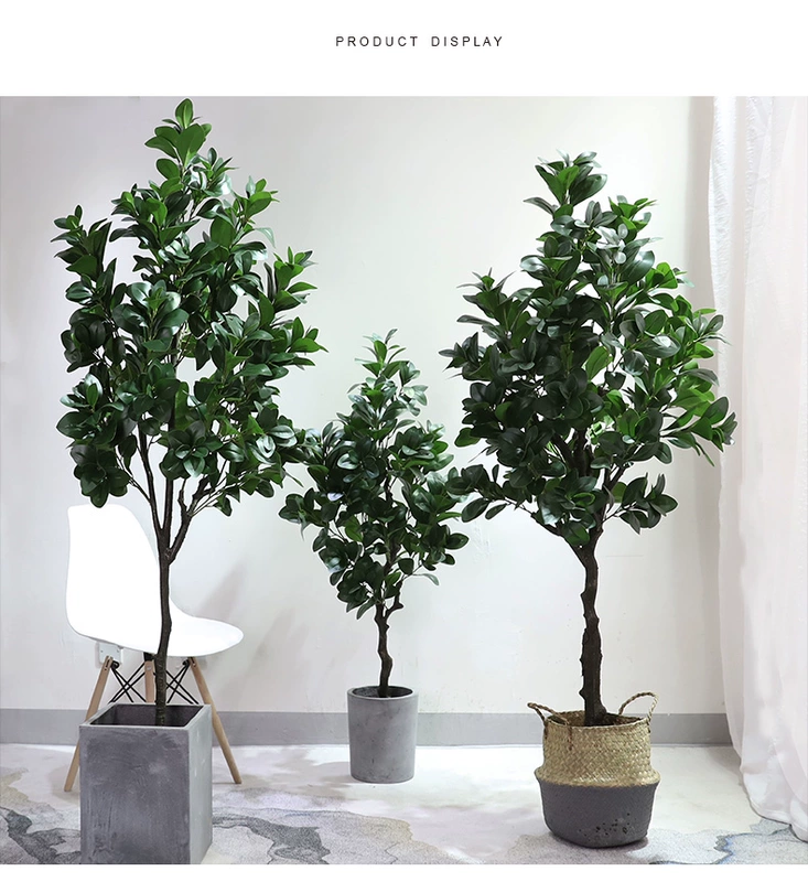 Cây cải xoong cây mô phỏng chậu cải xoong xanh bonsai phòng khách lớn sàn cây xanh trang trí hoa nhựa - Hoa nhân tạo / Cây / Trái cây