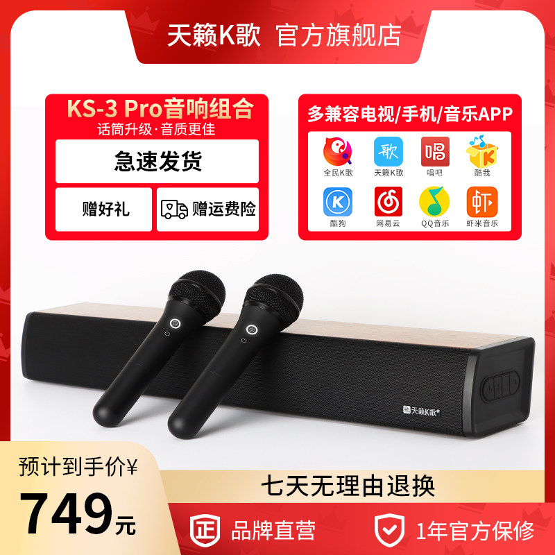 Sky Music K Song KS-3 Wireless Microphone Sound Home Singing for K Song Acoustic Suit All K Song Microphone Combo
