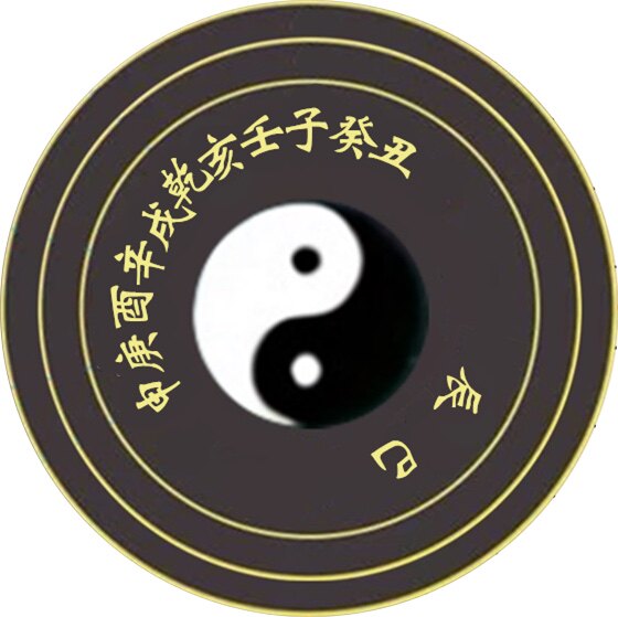 天曜庚申壬亥企业店的LOGO