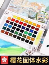 petit color solid watercolor water color painting solid watercolor: