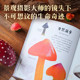 Dk Museum of Rare Species Dk's Fantastic and Tranquil World of Fungi Dk's Brilliant Minerals and Rocks Magical Mushrooms Lightweight and Portable Explore the Microscopic Wonders and Glimpse the Miracles of Life China Academy of Sciences Fungal Specimen Museum