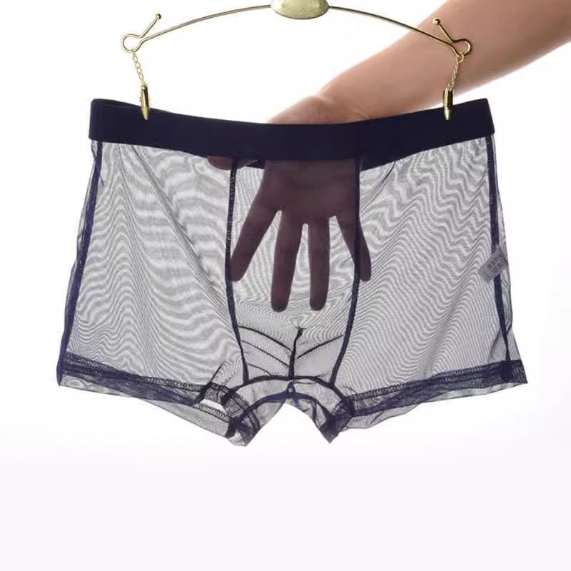 Men's Sexy Underwear, Fully Transparent Boxer Briefs, U-Convex Revealing Pubic Hair, Mid-Waist, Ultra-Thin, Gay Mesh, Sexy