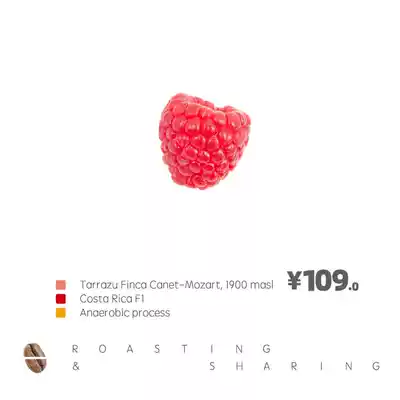 XYZ Costa Rica Mozart F1 Carnett anaerobic fermented raisin honey processing boutique coffee beans