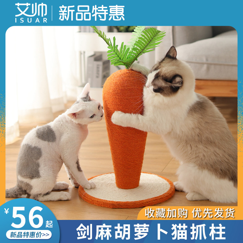 Love carrot cat cat crawling small cat cat cat cat cat and tree cat socket cat jumping