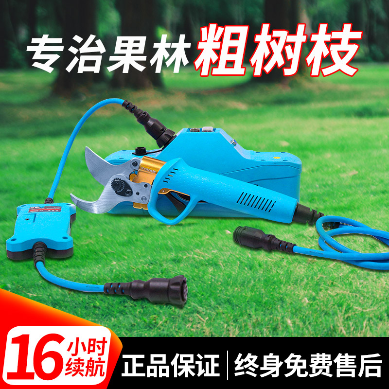 Jiahang Electric Repair Branch Cut Charging Garden Fruit Tree Branches Flowers Art Clippers Flying Sbo Coarse Branches Scissors Big Silk Poles