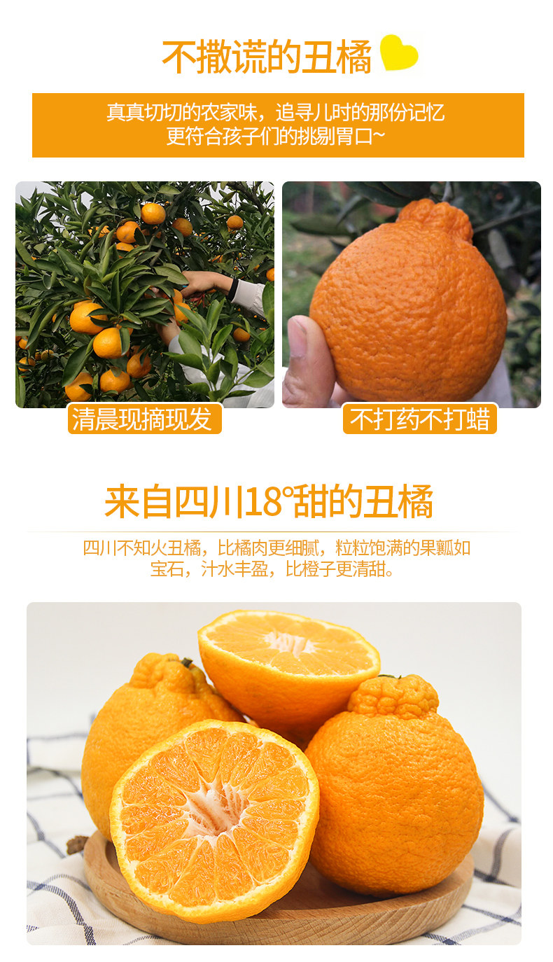 四川不知火丑橘 耙耙柑 净重9斤左右 图3