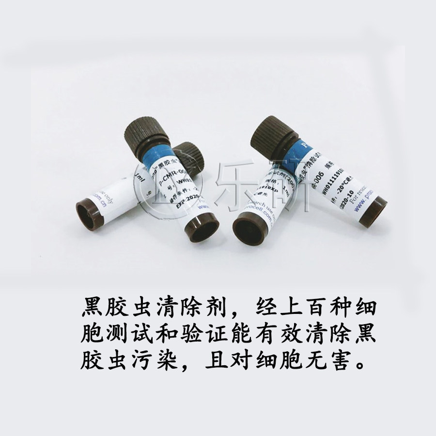Anti-Nano黑胶虫清除试剂(200&times;) 黑胶虫抑制剂 1ml包邮开票