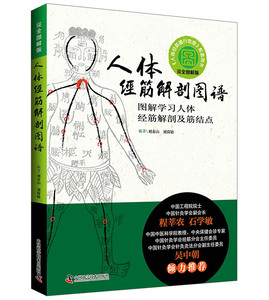 人体经筋解剖图谱 图解学习人体经筋解剖及筋结点 刘春山 书店 中医临床学书籍