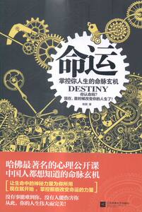 命运-掌控你人生的命脉玄机 高朋 书店 人生哲学书籍