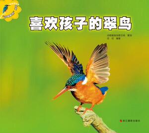正版 喜欢孩子的翠鸟 任任 书 少儿书籍