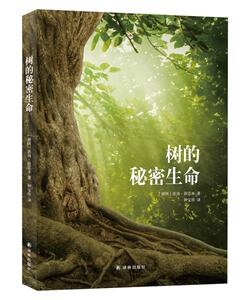 正版 树的秘密生命 彼得·渥雷本 书店 新闻英语书籍