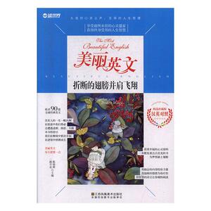 正常发货 正版 折断的翅膀并肩飞翔 陈晓辉 书店 小说名著书籍