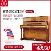 Các nghệ sĩ piano dọc mới Bruno Đức nhập khẩu GT650 ban đầu với thương hiệu chuyên nghiệp mới bắt đầu trưởng thành - dương cầm 	giá 1 cây đàn piano điện	
