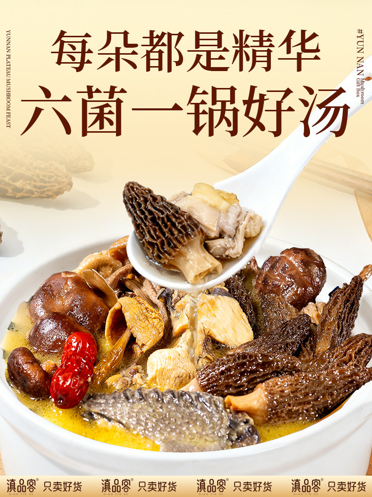 Legend of Fungi: Yunnan Wild Mushrooms, Mountain Treasures, New Year Gift Box, Dried Morel Mushrooms for Soup, Gift for Elders and Meeting Parents