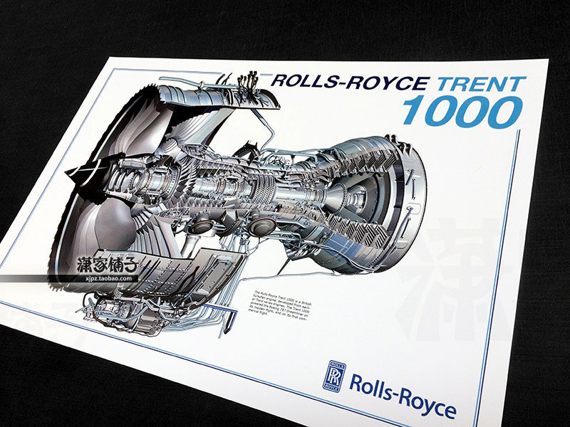 Rolls Royce Trent 1000 Boeing 787 engine aviation engine structure chart for poster decoration painting