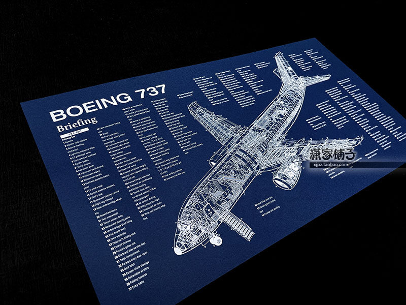 Boeing Boeing 737 civil aviation extended model airliner structure diagram blueprint wall chart poster decorative painting