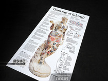 Tattoo Tattoo Tattoo Introduction to Popular Science of Western Japanese Art History Wall Chart Poster Decorative Painting
