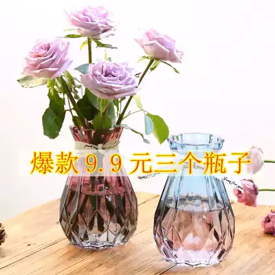 European creative glass vase transparent hydroponic Golden Ge plant glass vase household flower arrangement living room decoration ornaments