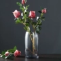 Bắc Âu sáng tạo sang trọng thủy tinh bình hoa thủy canh gradient thủ công bình hoa phòng khách cắm hoa trang trí trang trí - Vase / Bồn hoa & Kệ chậu trồng cây trong nhà