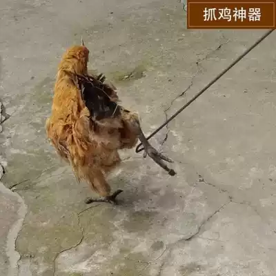 Catch wild goods artifact chicken catch chicken clip catch household tools thick circle catch hook Foot Foot cover outdoor farm