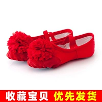 Большой красный цветок