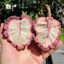 Hainan Rose Custard Apple Fresh Fruit 5kg Gift Box Large Fruit Seasonal Tropical High-End Fruit Annona SF Express