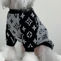 Pet Sweatshirt Clothes Casual Sports Fashion New Autumn and Winter Style with Cotton for Large, Medium and Small Dogs Bichon Schnauzer