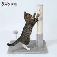Эли маленькие мечи и кошка кошка, поднимаясь с большим кошкой, кошка, создавая кошку кошачья кошка Западная кошка вместе кошка