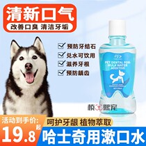 Husky special pet tooth cleaning mouthwash dog mouth puppy bad breath edible dog tooth cleaning water