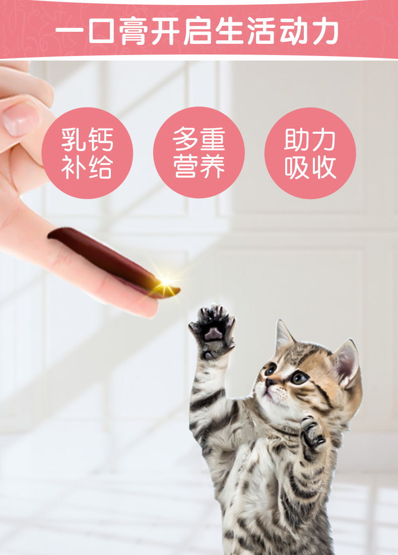 canxi cao kem dinh dưỡng canxi 120g mèo mèo vitamin đặc biệt Neil của thai vật nuôi dinh dưỡng - Cat / Dog Health bổ sung cho mèo con uống sữa gì